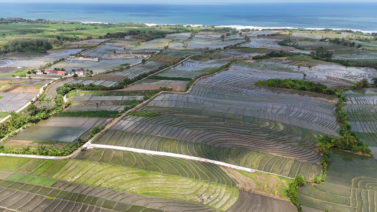TANAH 37,6 Are Dekat Pantai Pasut – Lokasi Strategis untuk Pengembangan Kompleks Villa Eksklusif