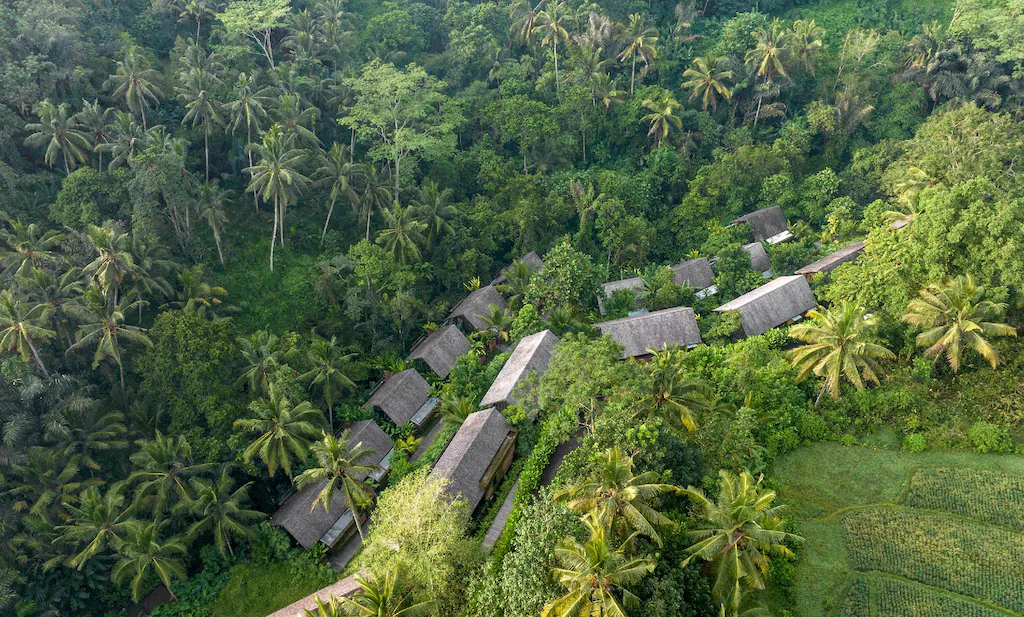 HONEYMOON VILLA DENGAN PEMANDANGAN HUTAN - UBUD