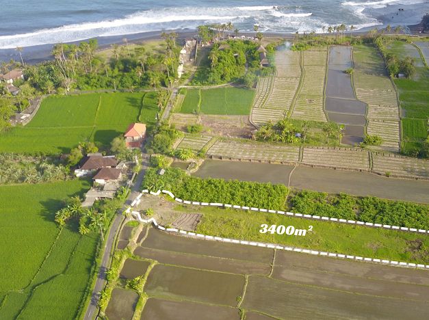 TANAH 34 ARE SIAP BANGUN DEKAT TAMAN SAFARI BALI - GIANYAR